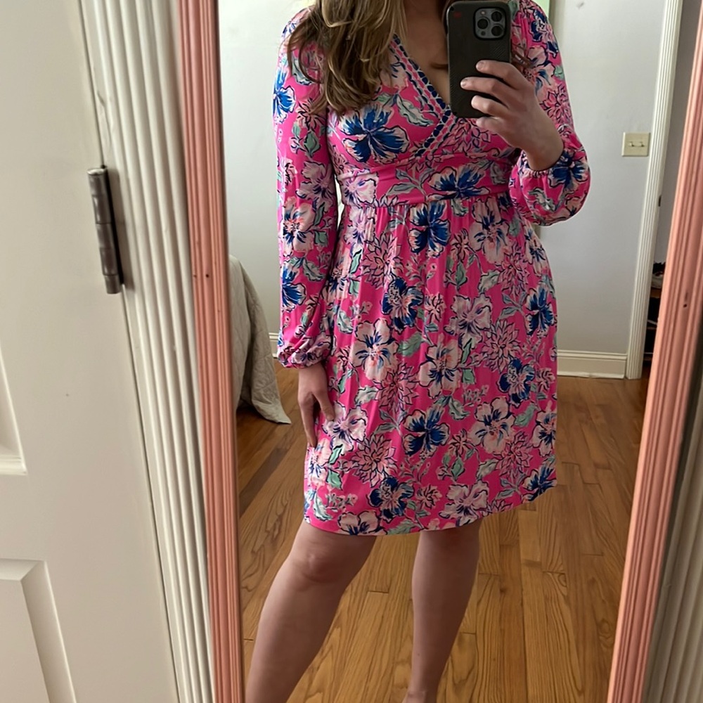 Lilly Pulitzer Carmilla Dress Pink Isle Last Bud Not Least 2 Preppy Coastal - Picture 1 of 16